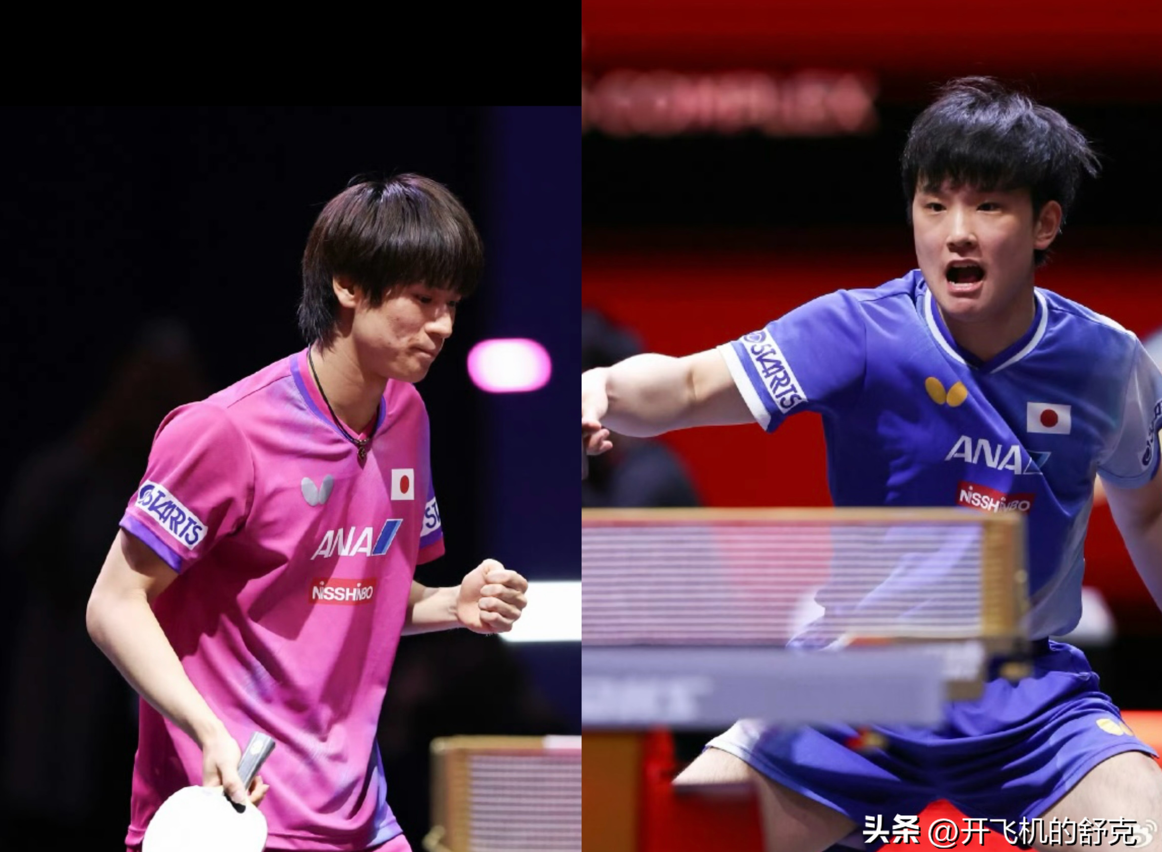 韩国乒乓球队鏖战日本乒乓球队，张本智和打破历史纪录的简单介绍