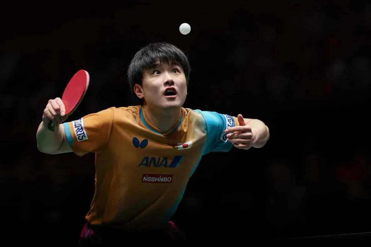 法国队逆转日本队，张本智和高光表现的简单介绍