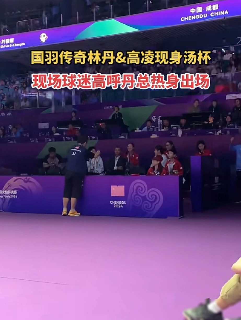 包含法国羽毛球队强势中国羽毛球队，陶菲克绝境逆转的词条