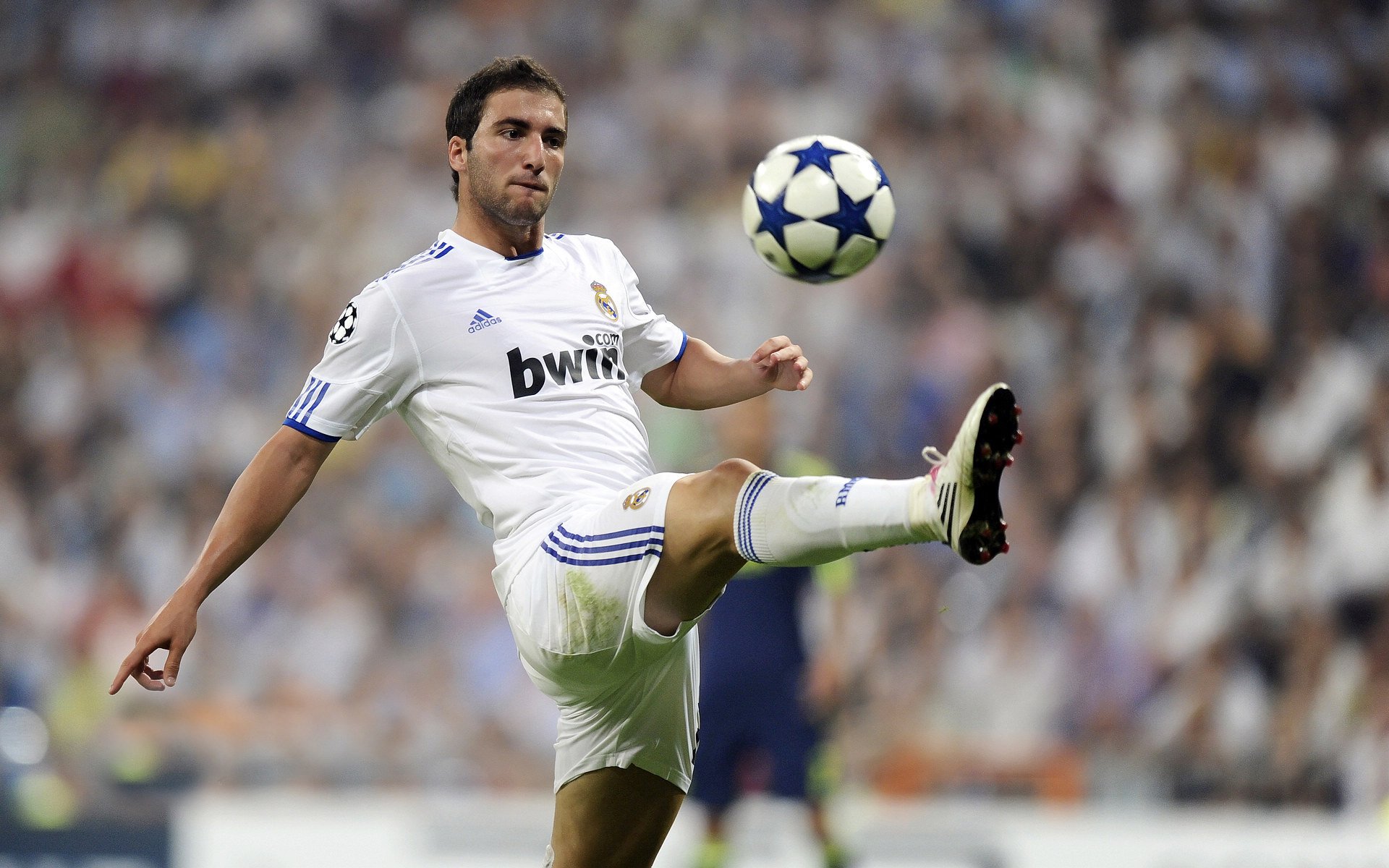 东决关键战焦点战，委内瑞拉横扫突尼斯，南美风暴席卷非洲雄狮